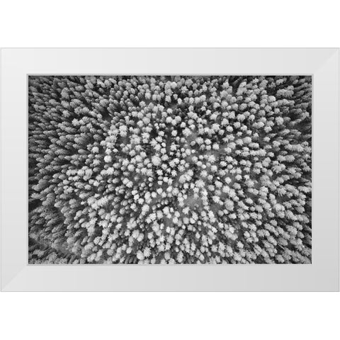 Finlandia-Savonlinna-aerial view White Modern Wood Framed Art Print by Molinari, Michele