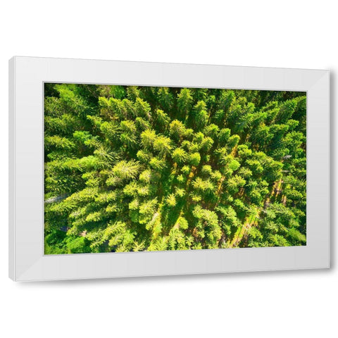 Finlandia-Savonlinna-aerial view White Modern Wood Framed Art Print by Molinari, Michele