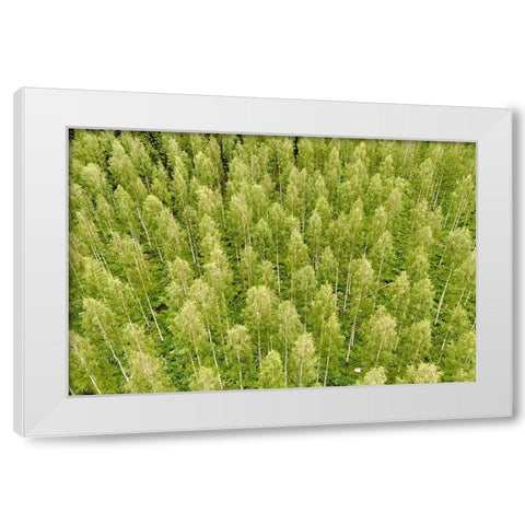 Finlandia-Savonlinna-forest White Modern Wood Framed Art Print by Molinari, Michele