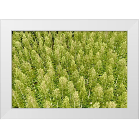 Finlandia-Savonlinna-forest White Modern Wood Framed Art Print by Molinari, Michele