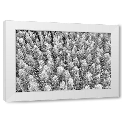 Finlandia-Savonlinna-forest White Modern Wood Framed Art Print by Molinari, Michele