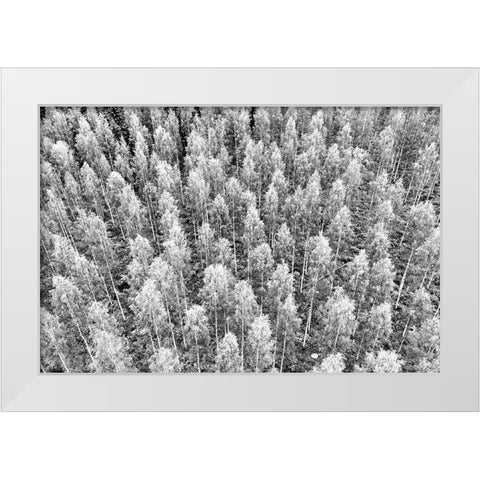 Finlandia-Savonlinna-forest White Modern Wood Framed Art Print by Molinari, Michele