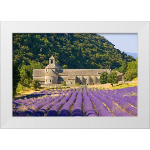 France, Gordes Cistercian monastery of Senanque White Modern Wood Framed Art Print by Zuckerman, Jim