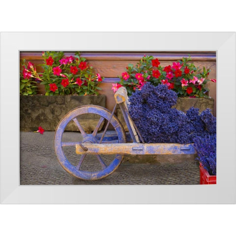 France, Provence, Sault Cart with fresh lavender White Modern Wood Framed Art Print by Zuckerman, Jim