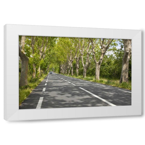 France, Provence Cars on tree-lined street White Modern Wood Framed Art Print by Lord, Fred