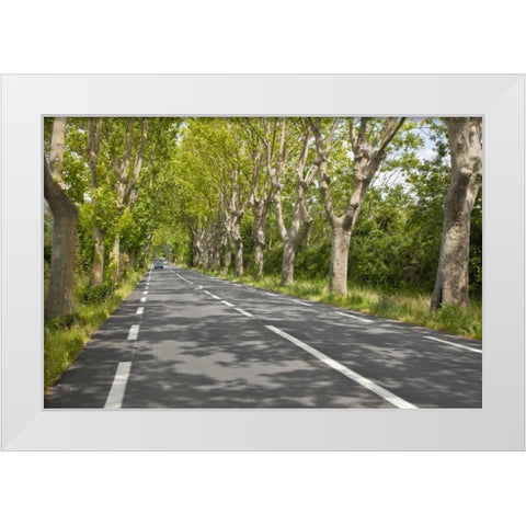 France, Provence Cars on tree-lined street White Modern Wood Framed Art Print by Lord, Fred