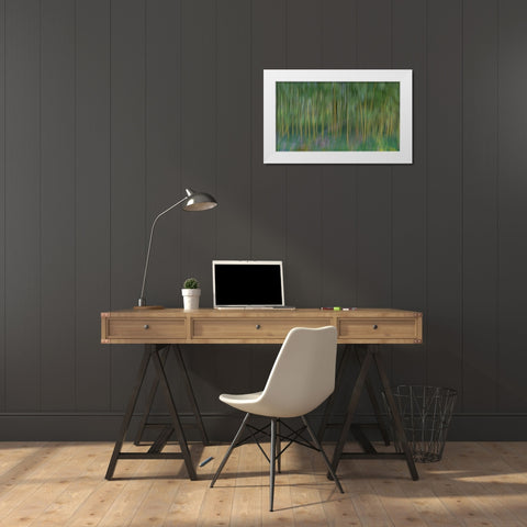 France-Giverny Abstract of bamboo forest in Monets Garden  White Modern Wood Framed Art Print by Jaynes Gallery