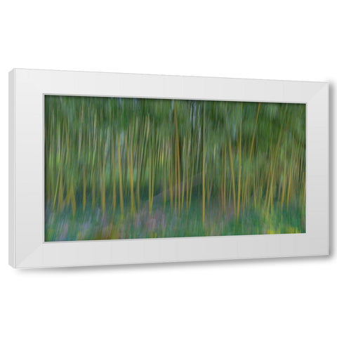 France-Giverny Abstract of bamboo forest in Monets Garden  White Modern Wood Framed Art Print by Jaynes Gallery
