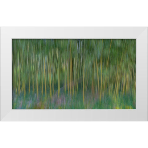 France-Giverny Abstract of bamboo forest in Monets Garden  White Modern Wood Framed Art Print by Jaynes Gallery