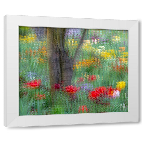 France-Giverny Impression of flowers in Monets Garden  White Modern Wood Framed Art Print by Jaynes Gallery