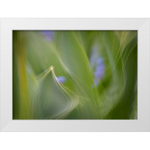 France-Giverny Abstract of green leaves  White Modern Wood Framed Art Print by Jaynes Gallery