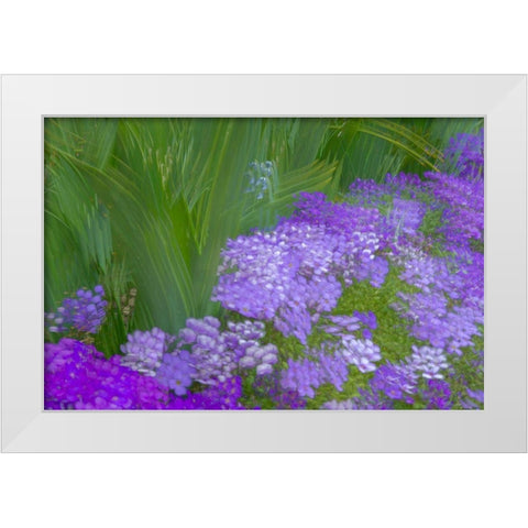France-Giverny Impression of flowers in Monets Garden  White Modern Wood Framed Art Print by Jaynes Gallery