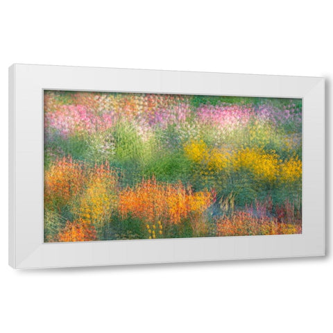 France-Giverny Impression of flowers in Monets Garden  White Modern Wood Framed Art Print by Jaynes Gallery
