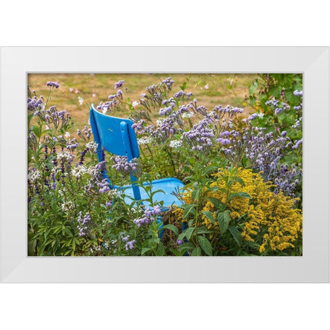 France-Haute-Vienne-Limoges Flowers and a chair in a garden in Limoges White Modern Wood Framed Art Print by Wilson, Emily