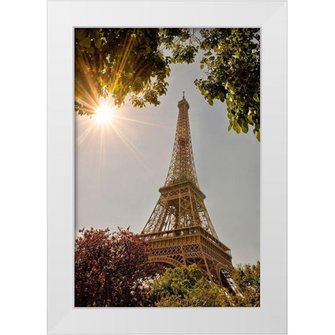 Eiffel Tower framed by trees and sunburst in Paris-France White Modern Wood Framed Art Print by Steve Mohlenkamp