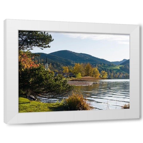 Lake and village Schliersee in the Bavarian Alps-Bavaria-Germany White Modern Wood Framed Art Print by Zwick, Martin