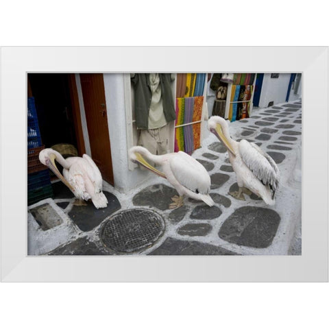 Greece, Mykonos, Hora Three pelicans grooming White Modern Wood Framed Art Print by Young, Bill