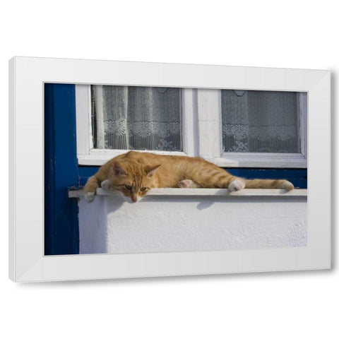 Greece, Mykonos Curious orange tabby cat White Modern Wood Framed Art Print by Young, Bill