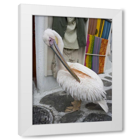 Greece, Mykonos, Hora Pelican grooming in alley White Modern Wood Framed Art Print by Young, Bill