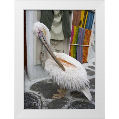 Greece, Mykonos, Hora Pelican grooming in alley White Modern Wood Framed Art Print by Young, Bill