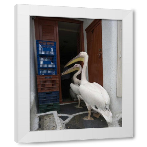 Greece, Mykonos, Hora Two pelicans in restaurant White Modern Wood Framed Art Print by Young, Bill