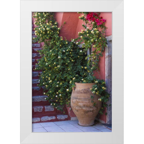 Greece, Santorini Pot with honeysuckle vine White Modern Wood Framed Art Print by Young, Bill