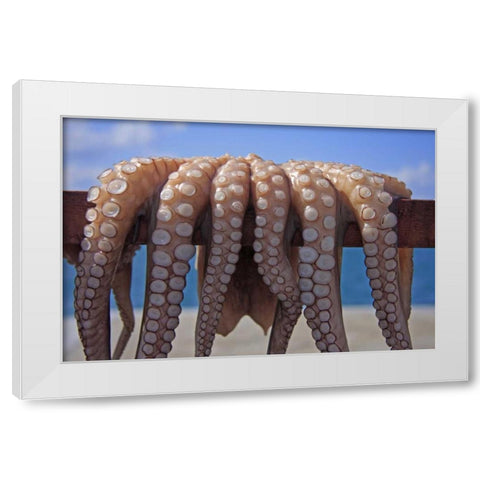Greece, Cyclades Fresh caught octopus drying White Modern Wood Framed Art Print by Noble Gardner, Nancy