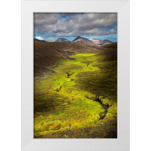 Colorful lichen along small stream in the mountains-Iceland White Modern Wood Framed Art Print by Jones, Adam