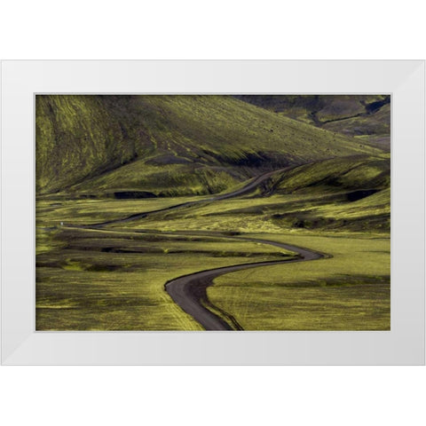 Iceland Road curves through green countryside White Modern Wood Framed Art Print by Young, Bill
