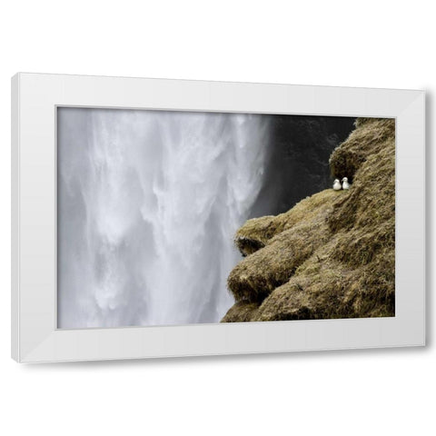Iceland Close-up of Skogafoss waterfall White Modern Wood Framed Art Print by Young, Bill