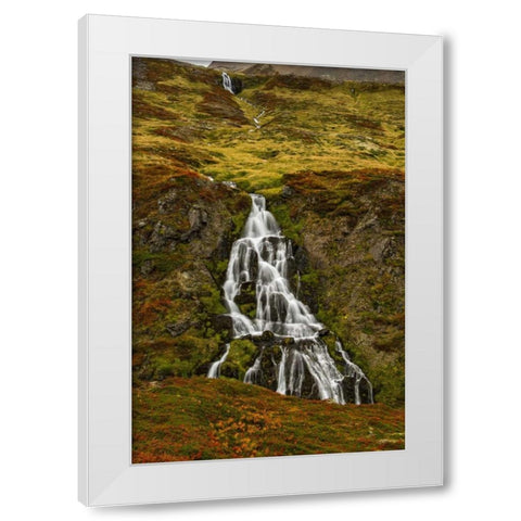 Iceland, Snaefellsnes Small waterfall and Autumn White Modern Wood Framed Art Print by Kirkland, Dennis