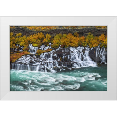 Iceland, Hraunfossar Autumn waterfalls White Modern Wood Framed Art Print by Kirkland, Dennis