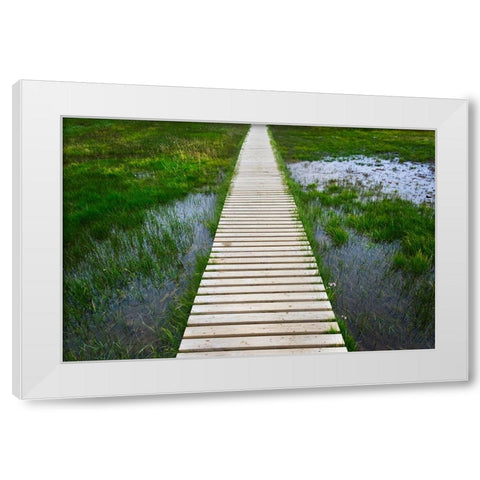 A plank pathway in Landmannalaugar-Iceland White Modern Wood Framed Art Print by Su, Keren
