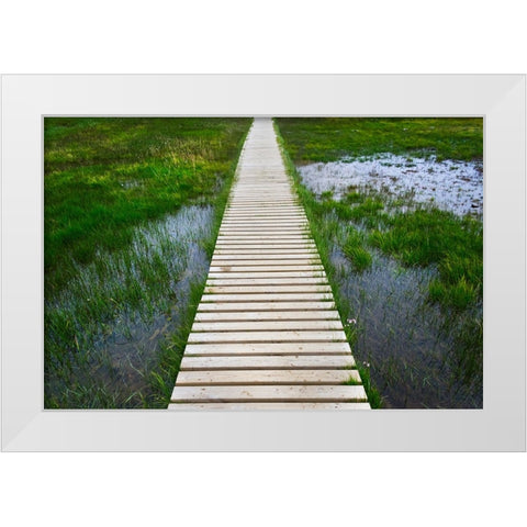 A plank pathway in Landmannalaugar-Iceland White Modern Wood Framed Art Print by Su, Keren