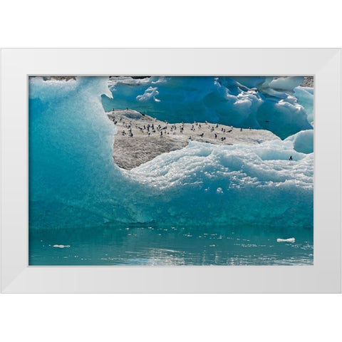 Birds on icebergs in Jokulsarlon Glacial Lagoon-Iceland White Modern Wood Framed Art Print by Su, Keren