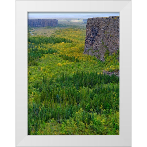 Asbyrgi canyon in Vatnajokull National Park-Iceland White Modern Wood Framed Art Print by Zwick, Martin
