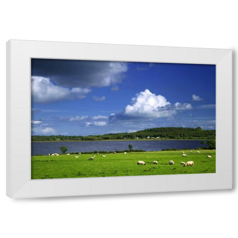 Ireland, Co Roscommon Pastoral scene of lake White Modern Wood Framed Art Print by Flaherty, Dennis