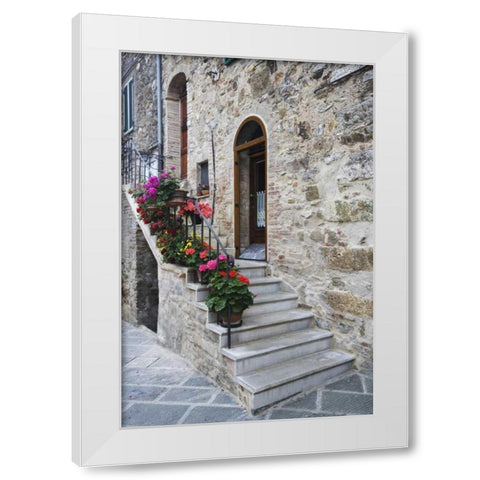 Italy, Petroio Flowers line a stairway White Modern Wood Framed Art Print by Flaherty, Dennis
