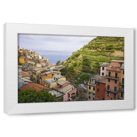 Hillside village of Manarola-Cinque Terre, Italy White Modern Wood Framed Art Print by Flaherty, Dennis