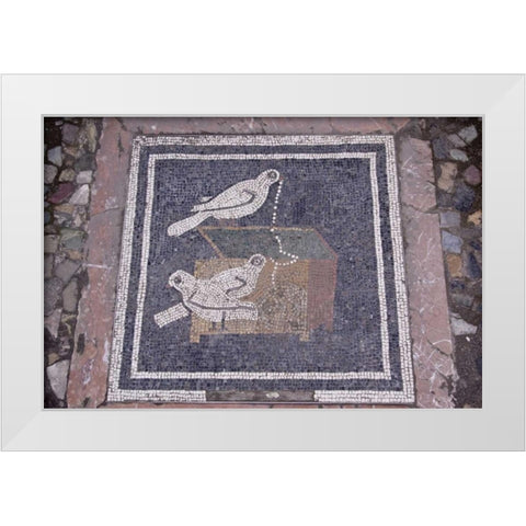 Italy, Pompeii Bird mosaic in House of the Faun White Modern Wood Framed Art Print by Kaveney, Wendy