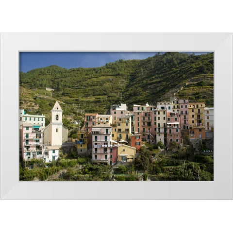 Italy, Manarola Town and terraced vineyards White Modern Wood Framed Art Print by Kaveney, Wendy