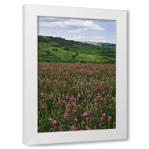 Italy, Pienza Medieval town seen on hilltop White Modern Wood Framed Art Print by Flaherty, Dennis