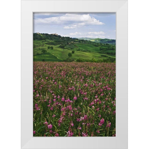 Italy, Pienza Medieval town seen on hilltop White Modern Wood Framed Art Print by Flaherty, Dennis