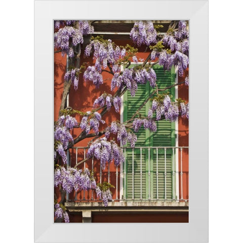 Italy, Varenna Flowers grow over front of house White Modern Wood Framed Art Print by Flaherty, Dennis