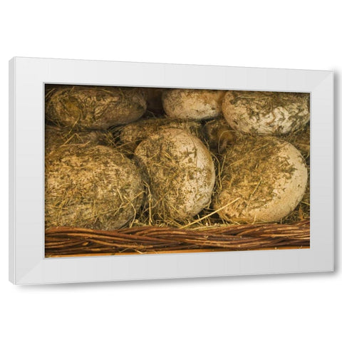 Italy, Tuscany Cheese being seasoned in hay White Modern Wood Framed Art Print by Flaherty, Dennis
