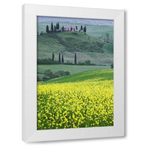 Italy, Tuscany Villa on a countryside hill White Modern Wood Framed Art Print by Flaherty, Dennis