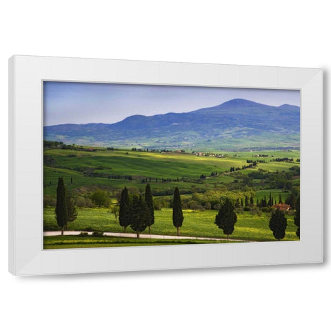 Italy, Tuscany Scenic of the Tuscan countryside White Modern Wood Framed Art Print by Flaherty, Dennis