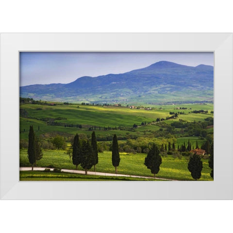 Italy, Tuscany Scenic of the Tuscan countryside White Modern Wood Framed Art Print by Flaherty, Dennis