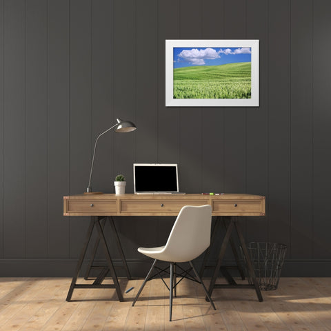 Italy, Tuscany Landscape of a wheat field White Modern Wood Framed Art Print by Flaherty, Dennis