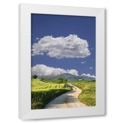 Italy, Tuscany Road leading to a villa White Modern Wood Framed Art Print by Flaherty, Dennis